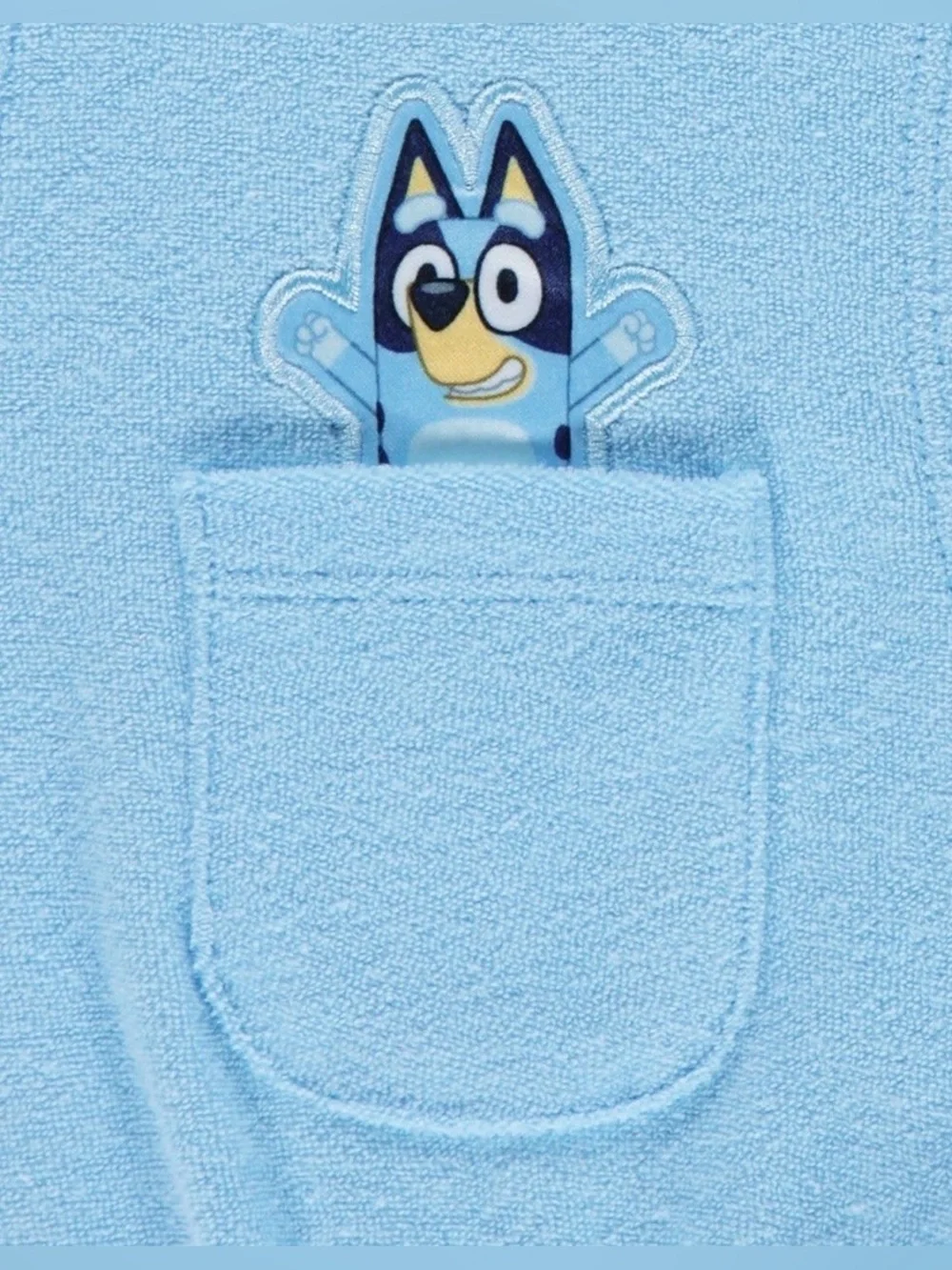 Bluey nwt toddler